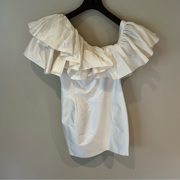 Rasario Ruffled One-Shoulder Silk Mini Dress | Size 38 / 6 - Picture 11 of 11